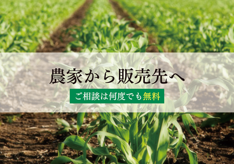 農家から販売先へ