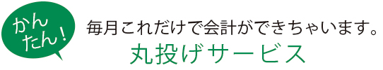 毎月これだけで会計が丸投げサービス