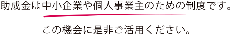 助成金は中小企業や個人事業主のための制度です。
